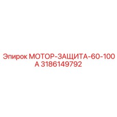 3186149792 МОТОР-ЗАЩИТА-60-100А Epiroc