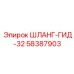 58387903 ШЛАНГ-ГИД-32 Epiroc