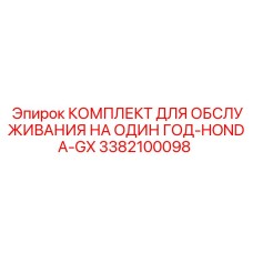 3382100098 КОМПЛЕКТ ДЛЯ ОБСЛУЖИВАНИЯ НА ОДИН ГОД-HONDA-GX Epiroc