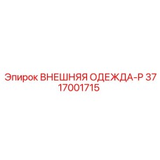 3717001715 ВНЕШНЯЯ ОДЕЖДА-P Epiroc