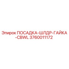 3760011172 ПОСАДКА-ШЛДР-ГАЙКА-CBWL Epiroc