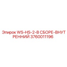 3760011196 WS-HS-2-В СБОРЕ-ВНУТРЕННИЙ Epiroc