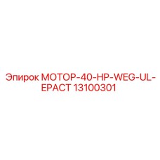 13100301 МОТОР-40-HP-WEG-UL-EPACT Epiroc