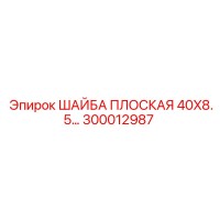 300012987 ШАЙБА ПЛОСКАЯ 40X8.5 Epiroc
