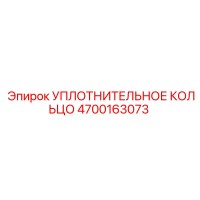 4700163073 УПЛОТНИТЕЛЬНОЕ КОЛЬЦО Epiroc