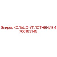 4700163145 КОЛЬЦО-УПЛОТНЕНИЕ Epiroc