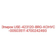 Фото конического подшипника USE-423120-BRG-00503511