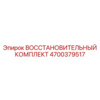 4700379517 ВОССТАНОВИТЕЛЬНЫЙ КОМПЛЕКТ Epiroc