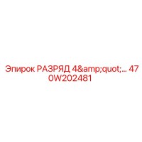 470W202481 РАЗРЯД 4