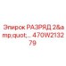 470W213279 РАЗРЯД 2