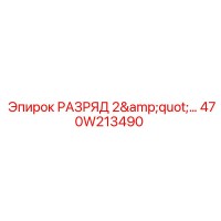 470W213490 РАЗРЯД 2