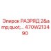 470W213490 РАЗРЯД 2