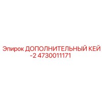 4730011171 ДОПОЛНИТЕЛЬНЫЙ КЕЙ-2 Epiroc