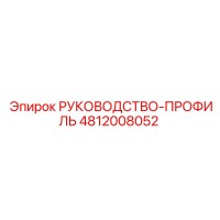 4812008052 РУКОВОДСТВО-ПРОФИЛЬ Epiroc