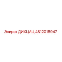 4812018947 ДИХЦАЦ Epiroc
