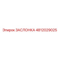 4812029025 ЗАСЛОНКА Epiroc