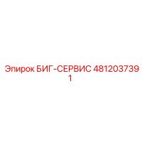 4812037391 БИГ-СЕРВИС Epiroc