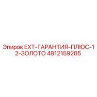 4812159285 EXT-ГАРАНТИЯ-ПЛЮС-12-ЗОЛОТО Epiroc