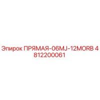 4812200061 ПРЯМАЯ-06MJ-12MORB Epiroc