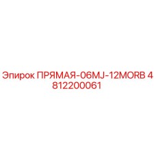 4812200061 ПРЯМАЯ-06MJ-12MORB Epiroc