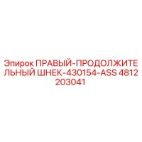 4812203041 ПРАВЫЙ-ПРОДОЛЖИТЕЛЬНЫЙ ШНЕК-430154-ASS Epiroc