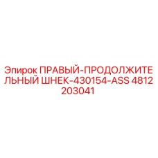 4812203041 ПРАВЫЙ-ПРОДОЛЖИТЕЛЬНЫЙ ШНЕК-430154-ASS Epiroc