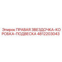 4812203043 ПРАВАЯ ЗВЕЗДОЧКА-КОРОБКА-ПОДВЕСКА Epiroc