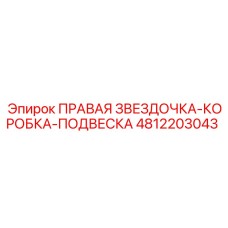4812203043 ПРАВАЯ ЗВЕЗДОЧКА-КОРОБКА-ПОДВЕСКА Epiroc