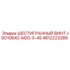 4812223289 ШЕСТИГРАННЫЙ ВИНТ-ISO10642-M20-X-45 Эпирок