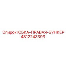 4812243393 ЮБКА-ПРАВАЯ-БУНКЕР Epiroc