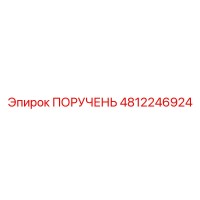 4812246924 ПОРУЧЕНЬ Epiroc