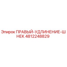 4812248829 ПРАВЫЙ-УДЛИНЕНИЕ-ШНЕК Epiroc
