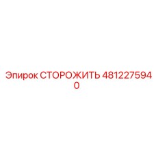 4812275940 СТОРОЖИТЬ Epiroc