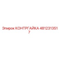 4812313517 КОНТРГАЙКА Epiroc