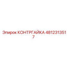 4812313517 КОНТРГАЙКА Epiroc
