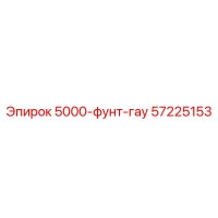57225153 5000-фунт-гау Epiroc