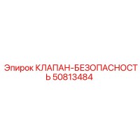 50813484 КЛАПАН-БЕЗОПАСНОСТЬ Epiroc