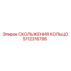 5112316795 СКОЛЬЖЕНИЯ КОЛЬЦО - Epiroc