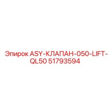 51793594 ASY-КЛАПАН-050-LIFT-QL50 Epiroc