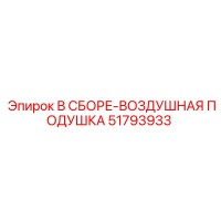 51793933 В СБОРЕ-ВОЗДУШНАЯ ПОДУШКА (Epiroc)