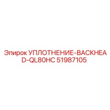 51987105 УПЛОТНЕНИЕ-BACKHEAD-QL80HC Epiroc