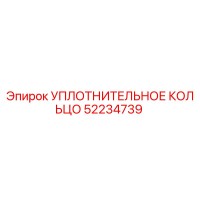 52234739 УПЛОТНИТЕЛЬНОЕ КОЛЬЦО Epiroc