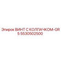 5530502500 ВИНТ С КОЛПАЧКОМ-GR5 Epiroc