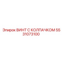 5531073100 ВИНТ С КОЛПАЧКОМ Epiroc