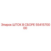 5541570000 Stock Assembly Epiroc