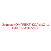 5542072800 КОМПЛЕКТ-КОЛЬЦО-ШТИФТ Epiroc