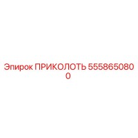 5558650800 ПРИКОЛОТЬ (Epiroc)