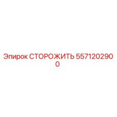 5571202900 СТОРОЖИТЬ Epiroc