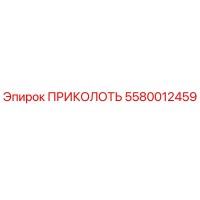 5580012459 ПРИКОЛОТЬ Epiroc