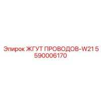 5590006170 ЖГУТ ПРОВОДОВ-W21 Epiroc